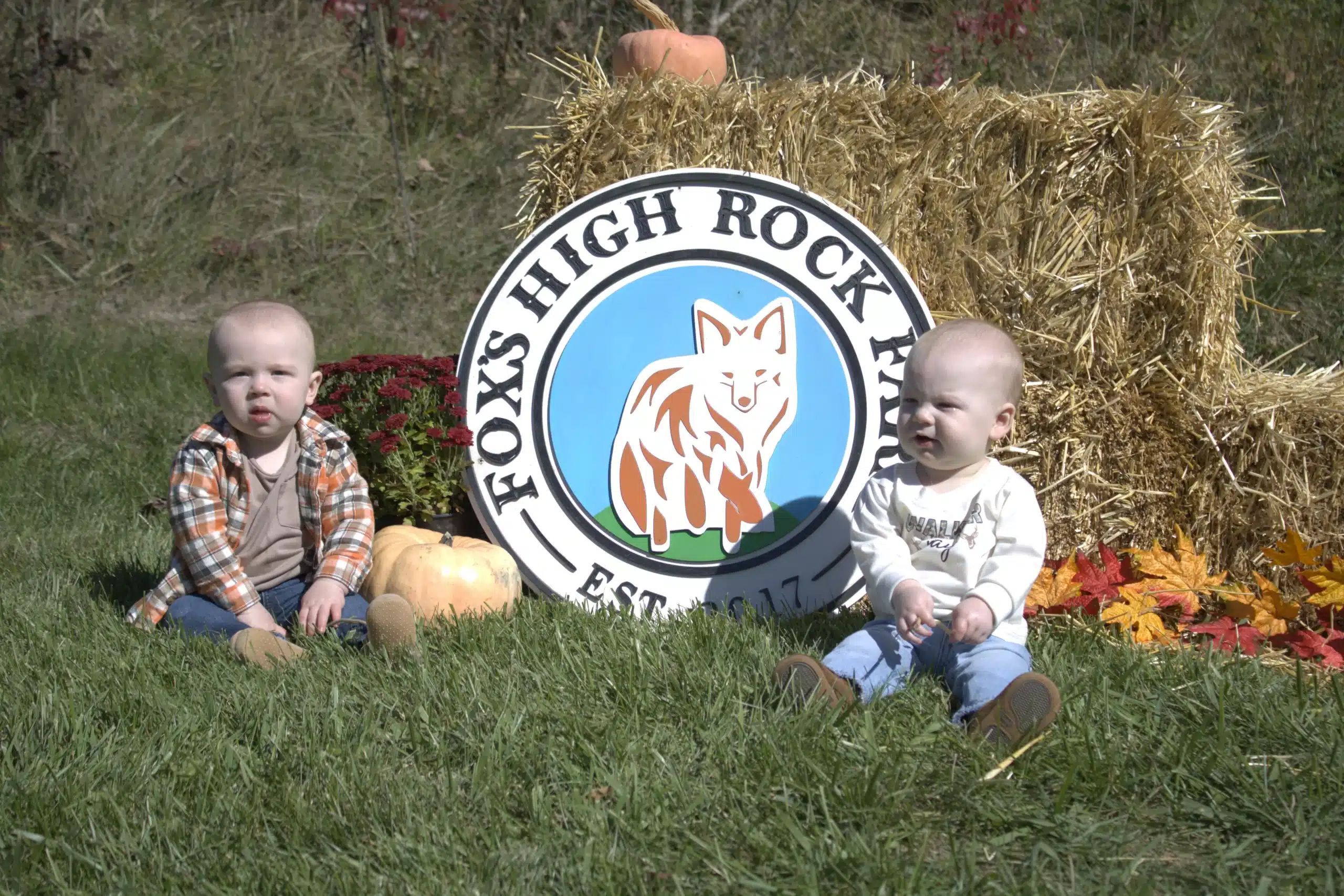 Fall day at the farm event fox's high rock farm